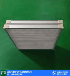 潔凈室初效過濾器 初效過濾器 迅淼凈化設備規(guī)格齊全 查看